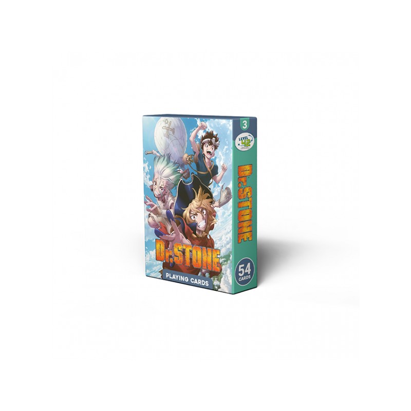 CARTE 54 DR STONE