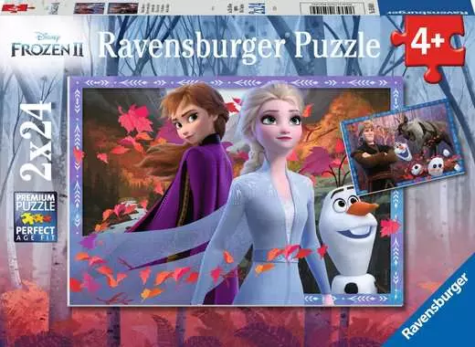 Vers des contrées glacées - Ravensburger